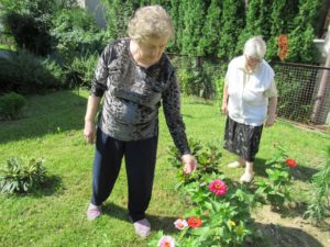 Seniorki przyglądają się kwiatom w ogrodzie Dziennego Domu