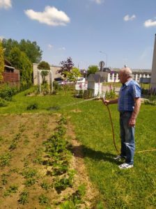senior Dziennego Domu Pomocy w Jaśle podlewa jarzyny rosnące w ogrodzie Dziennego Domu