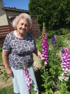seniorka prezentuje kwiat rosnący w ogrodzie Dziennego Domu Pomocy w Jaśle