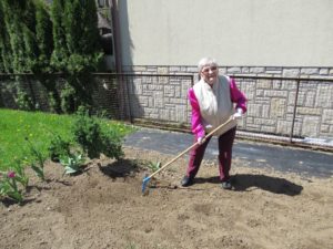 seniorka przygotowuje grządki w ogródku kwiatowo-warzywnym Dziennego Domu