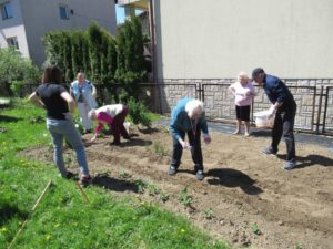 seniorzy wspólnie z terapeutą zajęciowym sieją jarzyny w ogrodzie Dziennego Domu Pomocy dla Osób Starszych w Jaśle
