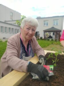 seniorka Dziennego Domu Pomocy w Jaśle przygotowuje się do posadzenia jarzyn w skrzyni, przygotowanej na ogródek warzywny