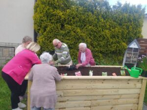 seniorzy Dziennego Domu Pomocy, wspólnie z opiekunem sadzą jarzyny w specjalnie przygotowanej skrzyni