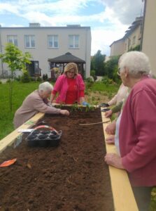 seniorzy, wspólnie z pracownikiem Dziennego Domu Pomocy sadzą jarzyny w skrzyni przygotowanej pod ogródek warzywny